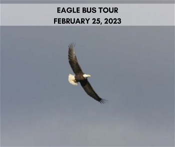 Eagle Watching Bus Tour Lackawaxen PA