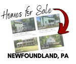 Homes for Sale Newfoundland PA