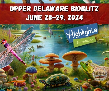 Upper Delaware BioBlitz Things to Do Lake Wallenpaupack 