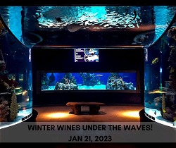 Winter Wine Event Scranton Aquarium