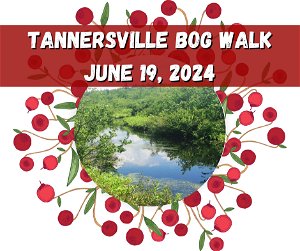 Tannersville Cranberry Bog Walk