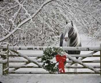 Christmas Pony Rides C&S Stables