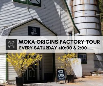 Moka Origins Factory Tour