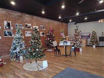 Trees for a Cause Hawley Hub Downtown Hawley Partnership