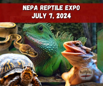 Nepa Reptile Expo Scranton PA July 7, 2024