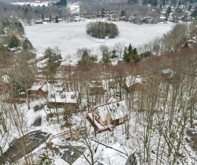 Snow-covered houses nestled among bare trees, with a frozen lake visible nearby. The scene highlights a tranquil winter landscape.