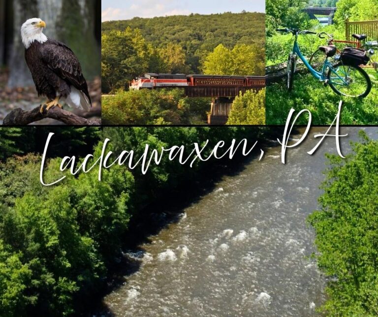 Lackawaxen, PA showcases diverse scenery: a bald eagle, a train crossing a bridge, a bicycle by lush greenery, and the flowing river.